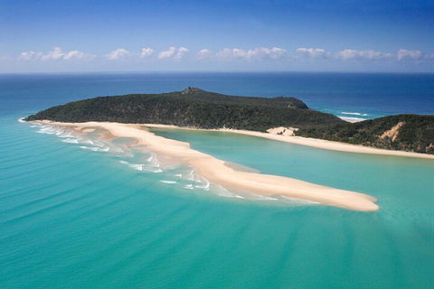 Kayak With Dolphins And 4WD Great Beach Drive Day Trip From Noosa - Accommodation Mermaid Beach 5