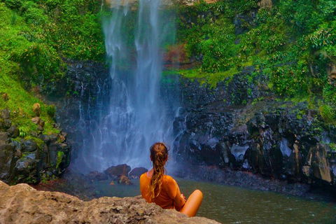Rainforest & Waterfalls Extravaganza - Accommodation Mermaid Beach 2