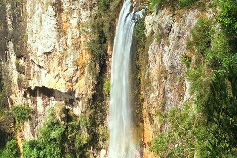Natural Arch, Rainforest & Volcano Canyon - Private Half Day Tour - Accommodation Mermaid Beach 2