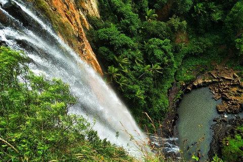 Natural Arch, Rainforest & Volcano Canyon - Private Half Day Tour - Accommodation Mermaid Beach 5