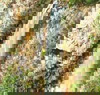 Private Tour - Rainforest  Waterfalls Extravaganza - Accommodation Mermaid Beach