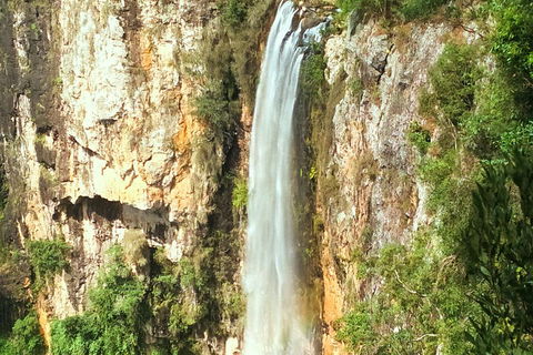 Private Tour - Rainforest & Waterfalls Extravaganza - Accommodation Mermaid Beach 0