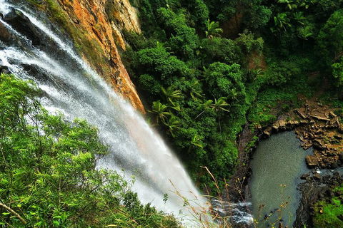 Private Tour - Rainforest & Waterfalls Extravaganza - Accommodation Mermaid Beach 2