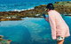 Sydney Private Tour Featuring Wilderness, Wildlife, Waves, Waterfalls And Wine - thumb 1