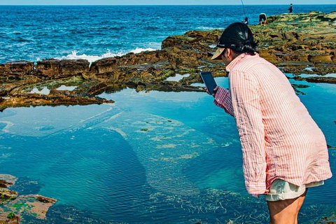 Sydney Private Tour Featuring Wilderness, Wildlife, Waves, Waterfalls And Wine - Accommodation Mermaid Beach 1
