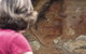 Sydney Private Tour Featuring Wilderness, Wildlife, Waves, Waterfalls And Wine - thumb 2
