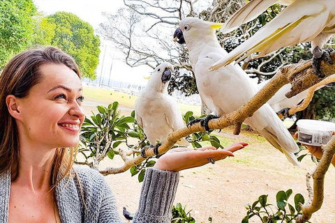 Sydney Private Tour Featuring Wilderness, Wildlife, Waves, Waterfalls And Wine - Accommodation Mermaid Beach 4