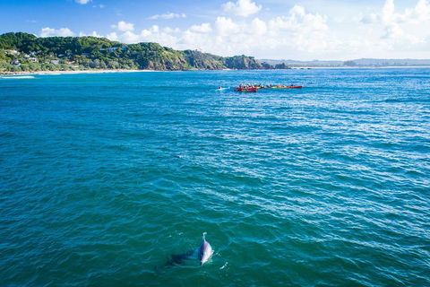 The Byron Bay Sea Kayak Tour - Accommodation Mermaid Beach 2