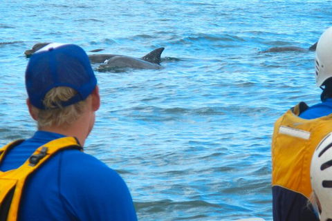 The Byron Bay Sea Kayak Tour - Accommodation Mermaid Beach 4