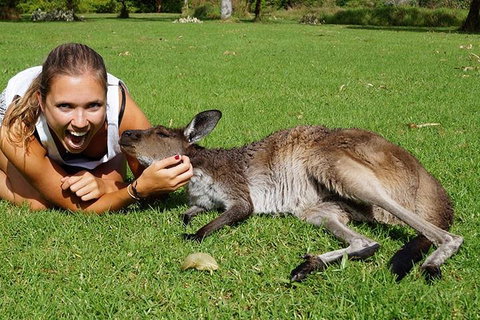 7-Day Tour In Sydney With Airport Pickup - Accommodation Mermaid Beach 4