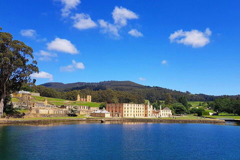 6-Day Tasmania Small-Group Guided Tour With Gourmet Food - Accommodation Mermaid Beach 5