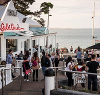 Phillip Island and French Island Wildlife Expedition - Accommodation Mermaid Beach