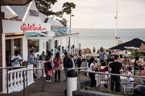 Phillip Island And French Island Wildlife Expedition - Accommodation Mermaid Beach 0