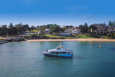 Phillip Island And French Island Wildlife Expedition - Accommodation Mermaid Beach 2
