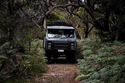 Phillip Island And French Island Wildlife Expedition - Accommodation Mermaid Beach 4