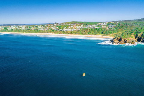2-Hour Guided Whale Watching Tour At Noosa - Accommodation Mermaid Beach 4