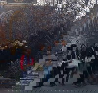 Melbourne City Private Tour - Accommodation Mermaid Beach