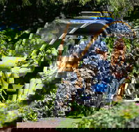 Adelaide 90-Minute Pedicab Tour Scenic Green  River Experience - Accommodation Mermaid Beach