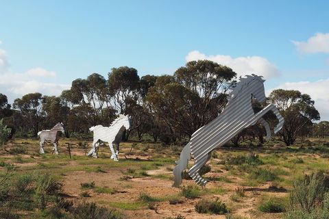 Wave Rock, Wild Flowers And Astro Photography - Accommodation Mermaid Beach 5