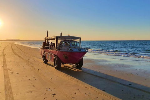 Town Of 1770 Afternoon Cruise - Accommodation Mermaid Beach 1