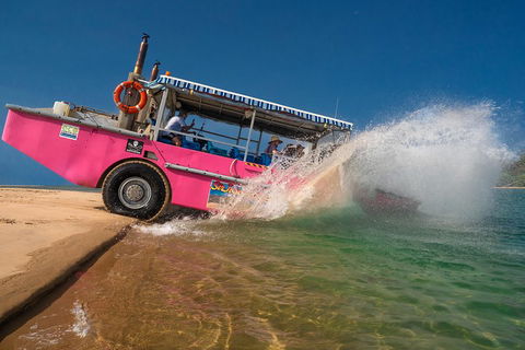 Town Of 1770 Afternoon Cruise - Accommodation Mermaid Beach 2