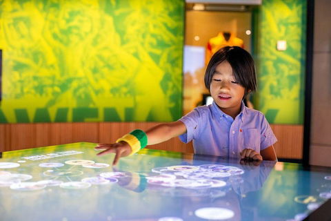 Melbourne Sports Experience + Free Australian Sports Museum Entry - Accommodation Mermaid Beach 4