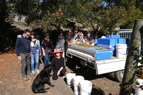 Valleys Of Vino Tour - Accommodation Mermaid Beach 1