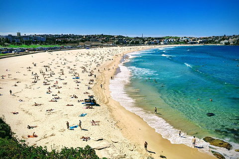 Sydney & Bondi Beach Plus Local Secrets With 'Personalised Sydney Tours' - Accommodation Mermaid Beach 5
