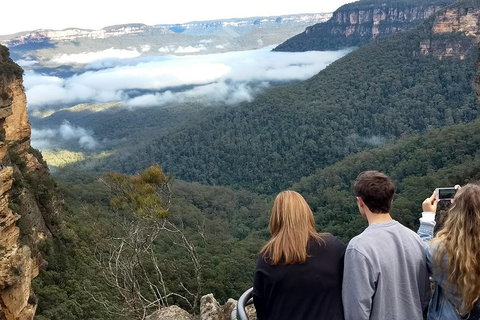 Blue Mountains Private Tour - Wild Kangaroos, Waterfalls And The Three Sisters - Accommodation Mermaid Beach 3