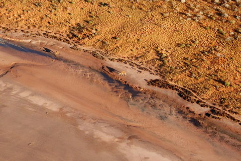 Scenic Flight: Lizard Safari - Accommodation Mermaid Beach 0
