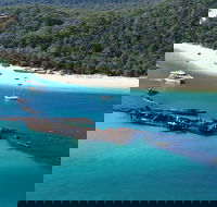 All Inclusive Tangalooma Wrecks Cruise Tour From Gold Coast - Accommodation Mermaid Beach