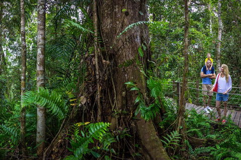 Kuranda Day Tour + HotAir Balloon Combo - Accommodation Mermaid Beach 3