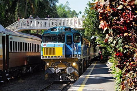 Kuranda Day Tour + HotAir Balloon Combo - Accommodation Mermaid Beach 4