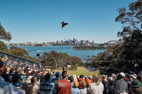 Sydney Taronga Zoo General Entry Ticket And Wild Australia Experience - Accommodation Mermaid Beach 5
