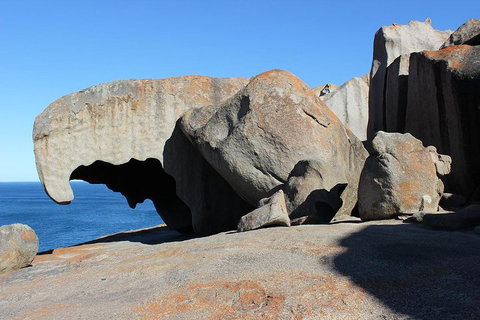 Kangaroo Island Personal Group Tours - Accommodation Mermaid Beach 2