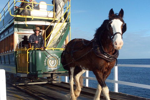 Full-Day Tour In South Australia Highlights - Accommodation Mermaid Beach 1