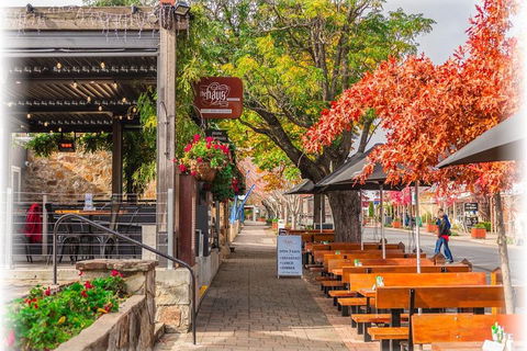 Adelaide City Highlights With Hahndorf And Mt. Lofty - Accommodation Mermaid Beach 5