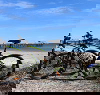 Adelaide City to Sea Bike Tour - Accommodation Mermaid Beach