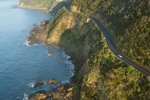 LGBT+ Friendly 2 Day Private Tour Great Ocean Road + Phillip Island - Accommodation Mermaid Beach 4