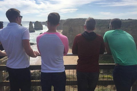 LGBT+ Friendly 2 Day Private Tour Great Ocean Road + Phillip Island - Accommodation Mermaid Beach 5