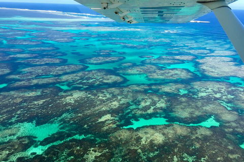 Shipwreck Special Full Day Tour Of The Abrolhos Islands - Accommodation Mermaid Beach 1