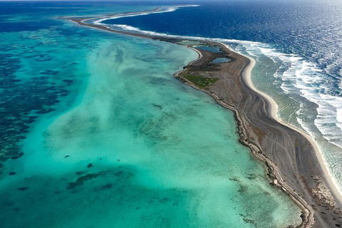 Shipwreck Special Full Day Tour Of The Abrolhos Islands - Accommodation Mermaid Beach 3
