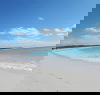 Shipwreck Special Nature Tour/Half Day Tour - Accommodation Mermaid Beach
