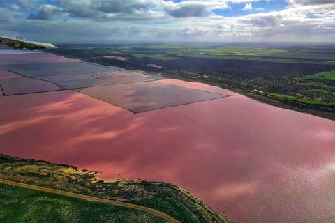 Kalbarri, Pink Lake And Abrolhos Islands Nature Tour - Accommodation Mermaid Beach 1