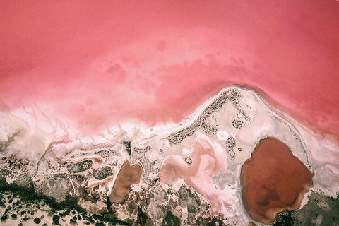 Kalbarri, Pink Lake And Abrolhos Islands Nature Tour - Accommodation Mermaid Beach 2