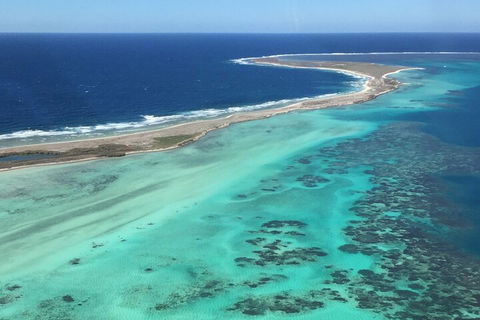 Kalbarri, Pink Lake And Abrolhos Islands Nature Tour - Accommodation Mermaid Beach 3