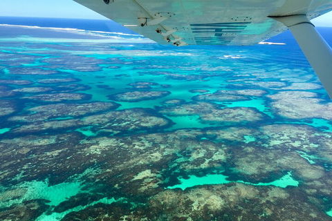 Kalbarri, Pink Lake And Abrolhos Islands Nature Tour - Accommodation Mermaid Beach 5