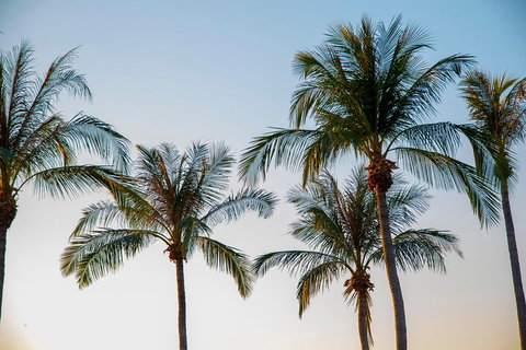 Darwin City Sightseeing Tour - Accommodation Mermaid Beach 0