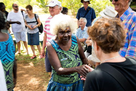 Tiwi Islands Cultural Experience From Darwin Including Ferry - Accommodation Mermaid Beach 0