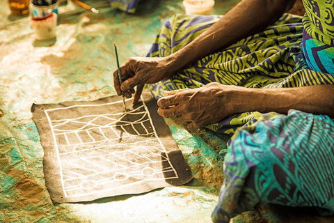 Tiwi Islands Cultural Experience From Darwin Including Ferry - Accommodation Mermaid Beach 1